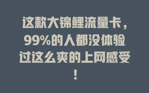 这款大锦鲤流量卡，99%的人都没体验过这么爽的上网感受！