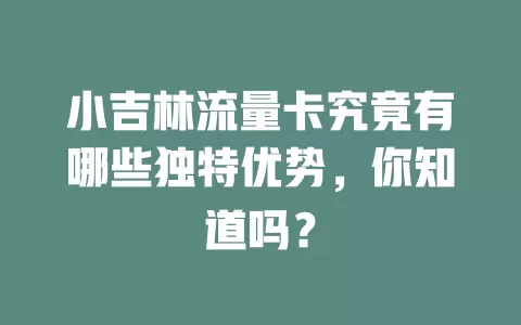 小吉林流量卡究竟有哪些独特优势，你知道吗？