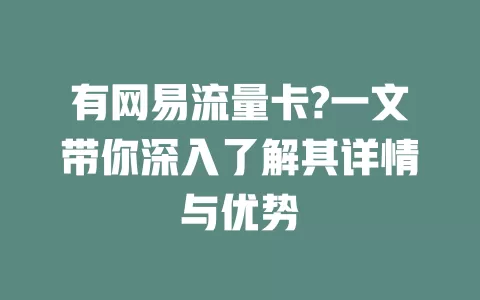 有网易流量卡?一文带你深入了解其详情与优势
