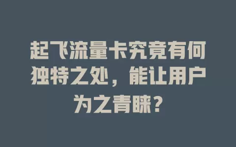 起飞流量卡究竟有何独特之处，能让用户为之青睐？