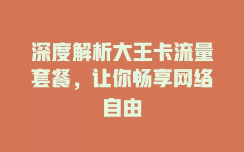 深度解析大王卡流量套餐，让你畅享网络自由