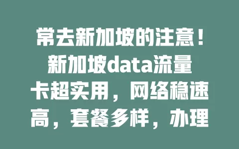 常去新加坡的注意！新加坡data流量卡超实用，网络稳速高，套餐多样，办理简便，兼容多设备，让你的新加坡之行更精彩