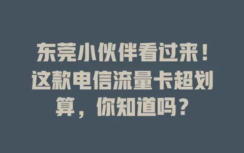东莞小伙伴看过来！这款电信流量卡超划算，你知道吗？