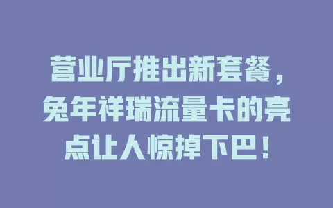 营业厅推出新套餐，兔年祥瑞流量卡的亮点让人惊掉下巴！