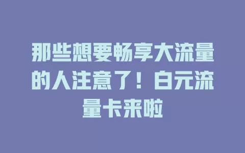 那些想要畅享大流量的人注意了！白元流量卡来啦