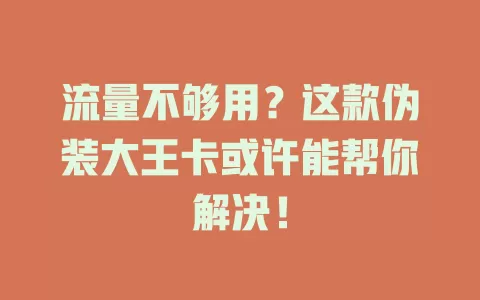 流量不够用？这款伪装大王卡或许能帮你解决！