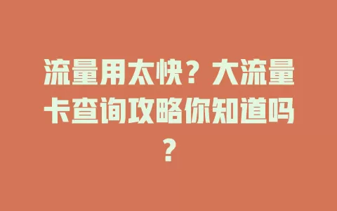 流量用太快？大流量卡查询攻略你知道吗？