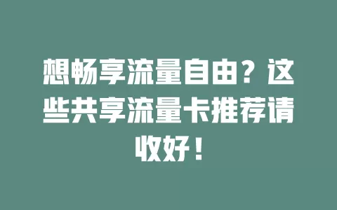 想畅享流量自由？这些共享流量卡推荐请收好！