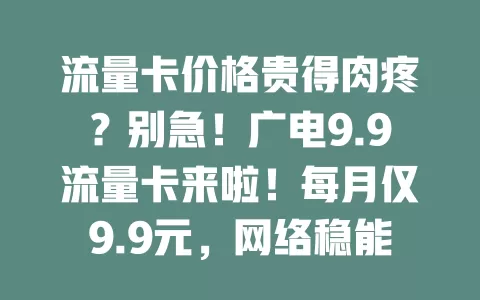 流量卡价格贵得肉疼？别急！广电9.9流量卡来啦！每月仅9.9元，网络稳能满足日常，还愁啥高额流量费，赶紧来看看！