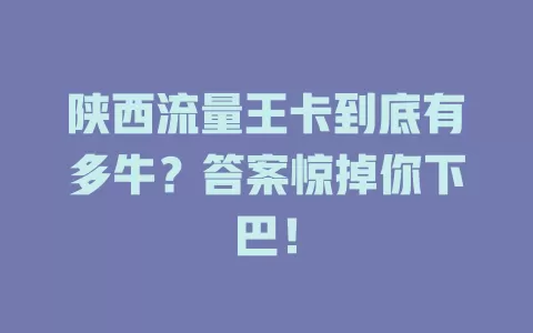 陕西流量王卡到底有多牛？答案惊掉你下巴！