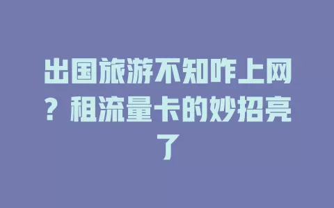 出国旅游不知咋上网？租流量卡的妙招亮了