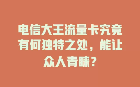 电信大王流量卡究竟有何独特之处，能让众人青睐？