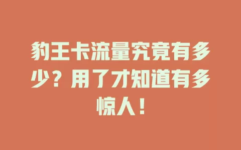 豹王卡流量究竟有多少？用了才知道有多惊人！