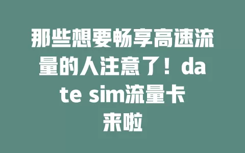 那些想要畅享高速流量的人注意了！date sim流量卡来啦