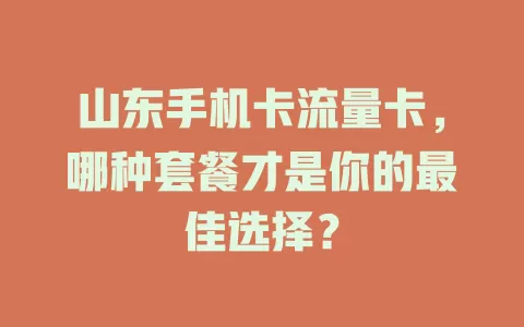 山东手机卡流量卡，哪种套餐才是你的最佳选择？