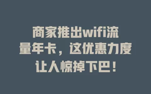 商家推出wifi流量年卡，这优惠力度让人惊掉下巴！