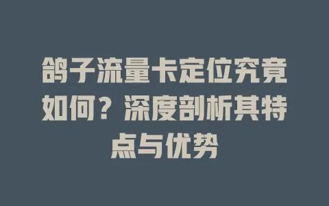 鸽子流量卡定位究竟如何？深度剖析其特点与优势
