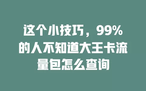 这个小技巧，99%的人不知道大王卡流量包怎么查询