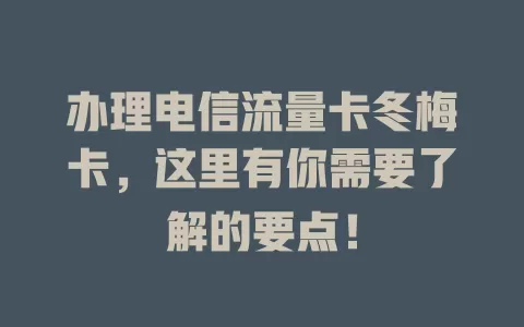 办理电信流量卡冬梅卡，这里有你需要了解的要点！