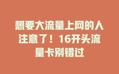 想要大流量上网的人注意了！16开头流量卡别错过