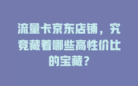 流量卡京东店铺，究竟藏着哪些高性价比的宝藏？
