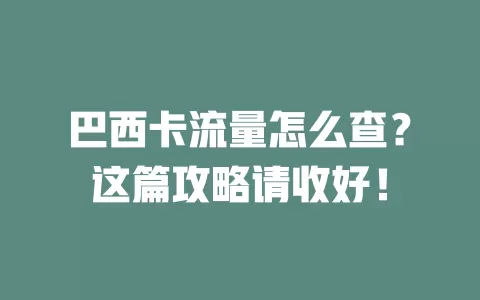 巴西卡流量怎么查？这篇攻略请收好！
