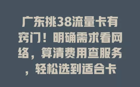 广东挑38流量卡有窍门！明确需求看网络，算清费用查服务，轻松选到适合卡