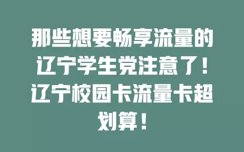 那些想要畅享流量的辽宁学生党注意了！辽宁校园卡流量卡超划算！