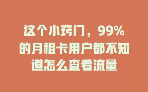 这个小窍门，99%的月租卡用户都不知道怎么查看流量