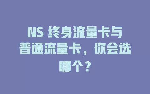 NS 终身流量卡与普通流量卡，你会选哪个？