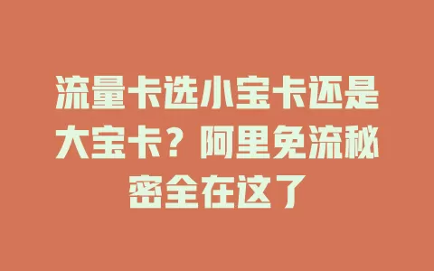 流量卡选小宝卡还是大宝卡？阿里免流秘密全在这了