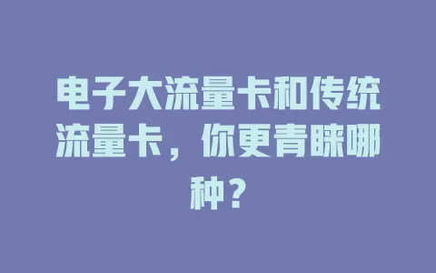电子大流量卡和传统流量卡，你更青睐哪种？