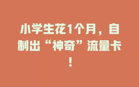 小学生花1个月，自制出“神奇”流量卡！