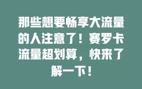 那些想要畅享大流量的人注意了！赛罗卡流量超划算，快来了解一下！