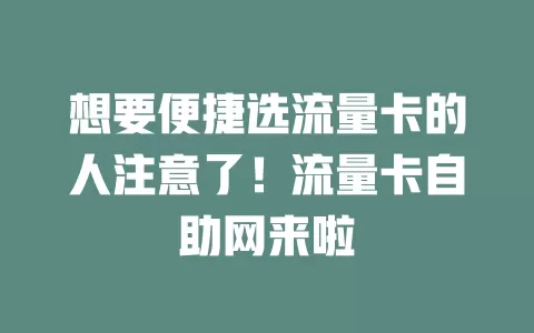 想要便捷选流量卡的人注意了！流量卡自助网来啦