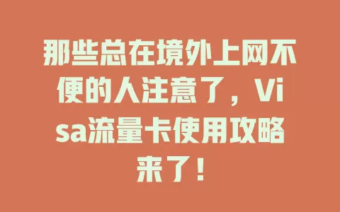 那些总在境外上网不便的人注意了，Visa流量卡使用攻略来了！