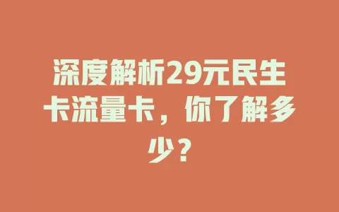 深度解析29元民生卡流量卡，你了解多少？