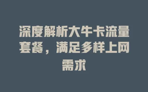 深度解析大牛卡流量套餐，满足多样上网需求