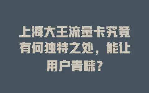 上海大王流量卡究竟有何独特之处，能让用户青睐？