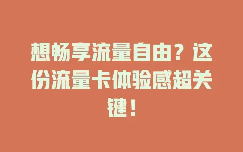 想畅享流量自由？这份流量卡体验感超关键！