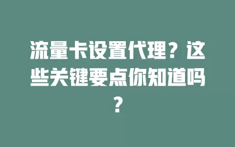 流量卡设置代理？这些关键要点你知道吗？
