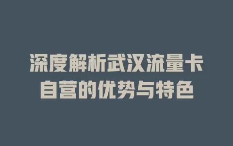 深度解析武汉流量卡自营的优势与特色
