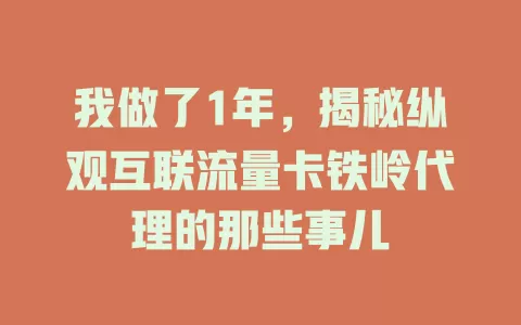 我做了1年，揭秘纵观互联流量卡铁岭代理的那些事儿