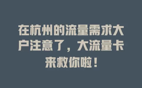 在杭州的流量需求大户注意了，大流量卡来救你啦！