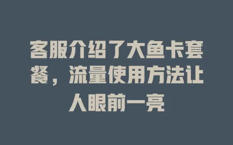 客服介绍了大鱼卡套餐，流量使用方法让人眼前一亮