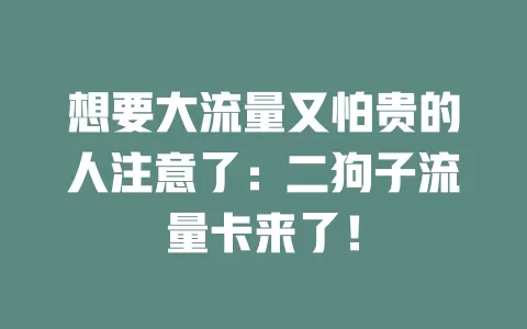 想要大流量又怕贵的人注意了：二狗子流量卡来了！