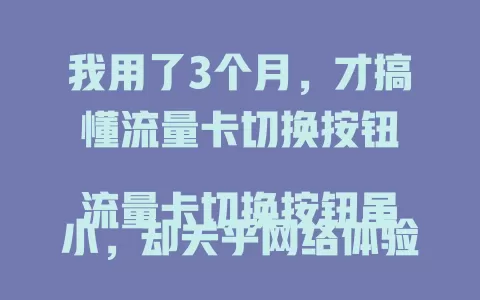 我用了3个月，才搞懂流量卡切换按钮

流量卡切换按钮虽小，却关乎网络体验。起初，我频繁误触，流量莫名跑费。深入研究后，才掌握精准切换技巧，网络随心切换超便捷！