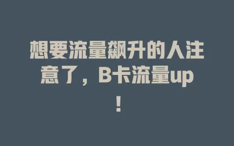 想要流量飙升的人注意了，B卡流量up！