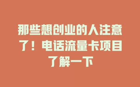 那些想创业的人注意了！电话流量卡项目了解一下