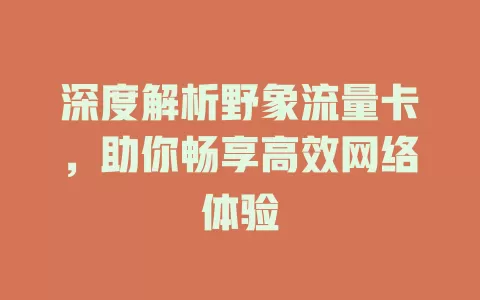 深度解析野象流量卡，助你畅享高效网络体验